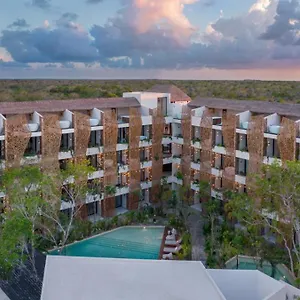 https://stunning-studio-with-rooftop-and-private-jacuzzi.tulum-hotels.net
